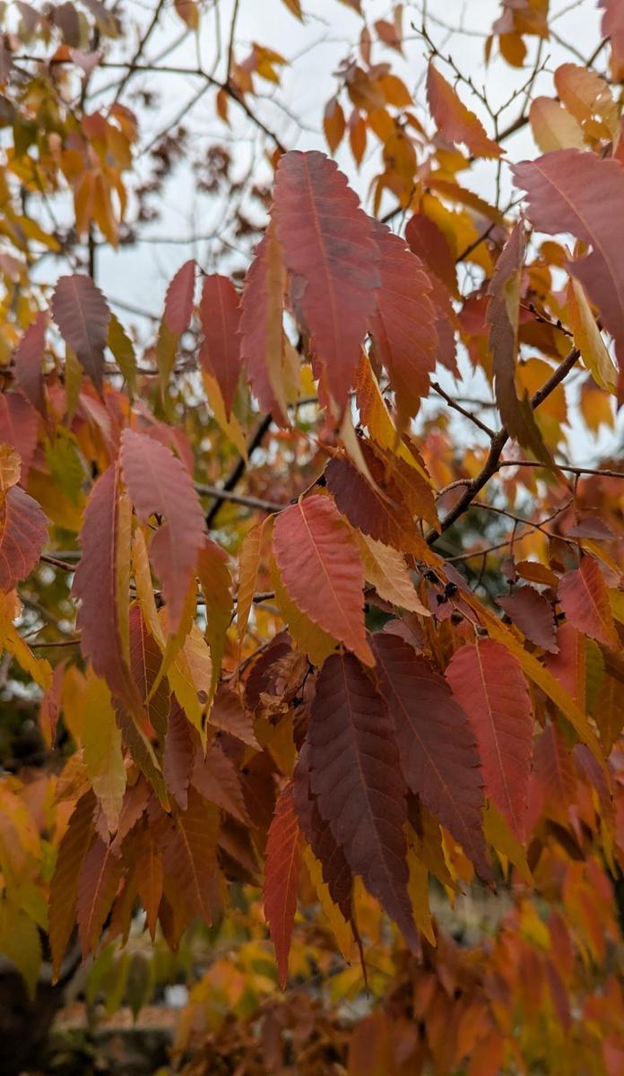 50a8702f-1d62-40c5-adae-59499b893000 cop