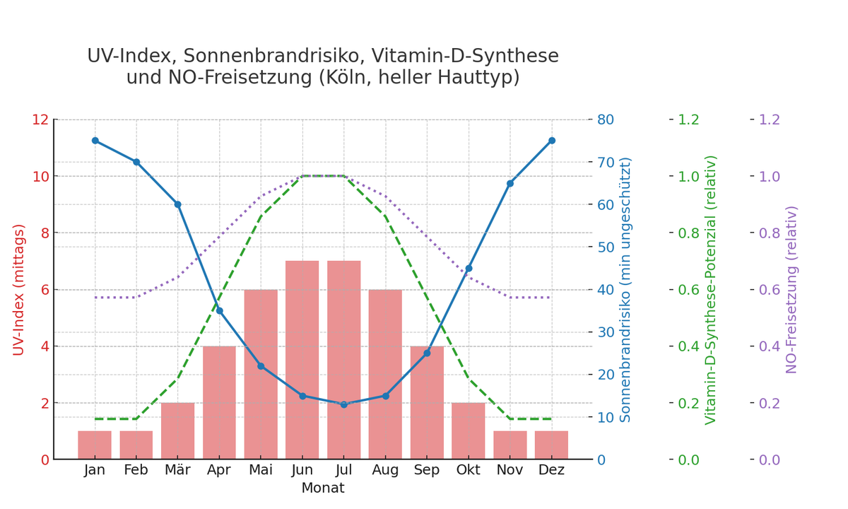 UV Index Sonnenbrandrisiko VitaminD NO C