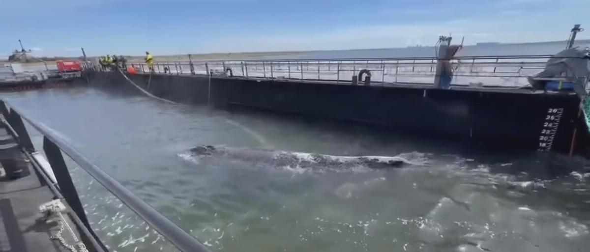 Screenshot 20260428 171800 Facebook