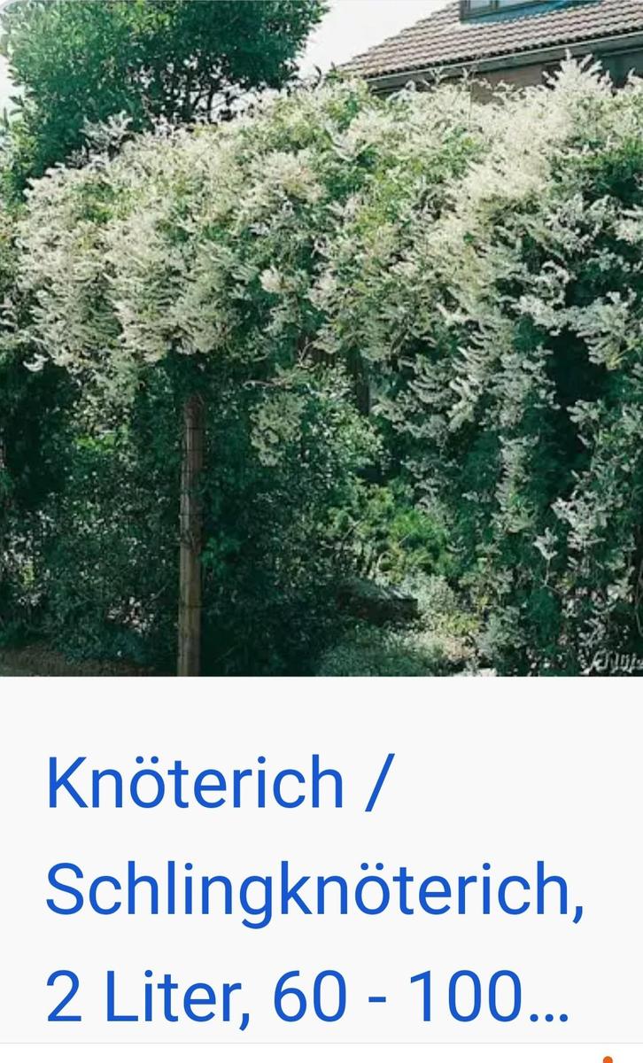 Screenshot 20250426-103342 Samsung Inter
