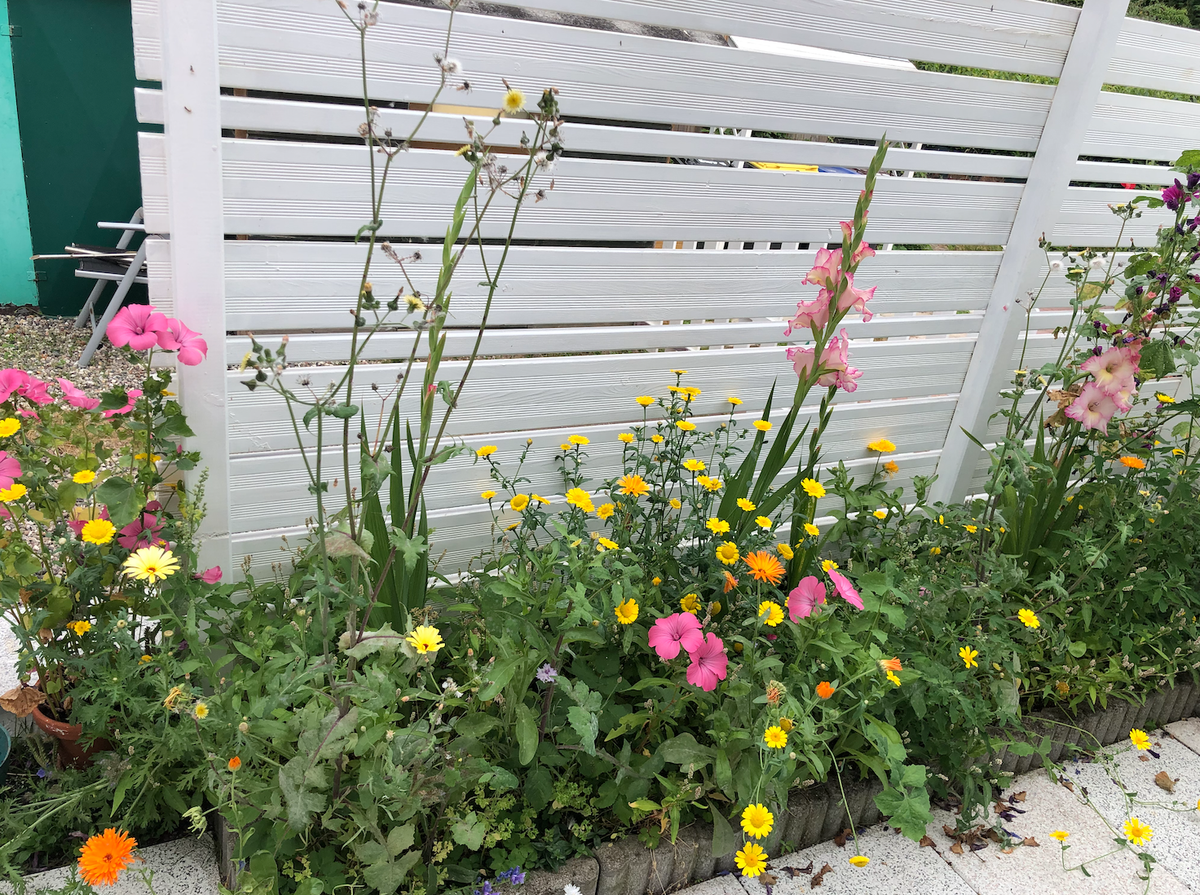 Blumen1