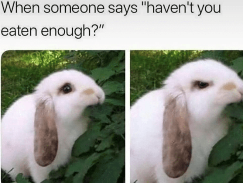 someone-says-havent-eaten-enough
