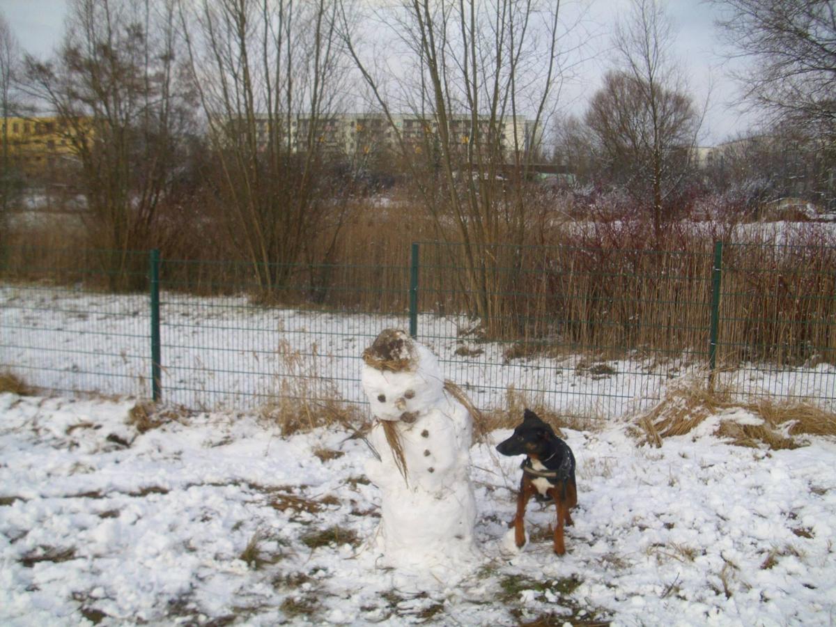 Schneemann 1