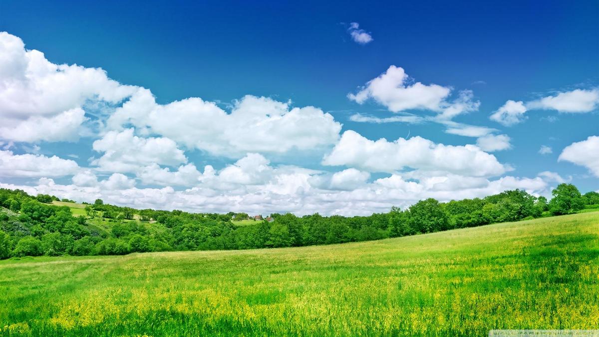 summer scenery-wallpaper-1920x1080