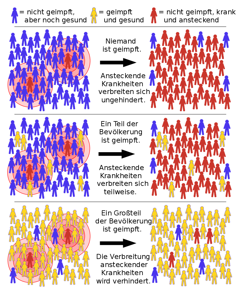 Herdenimmunitt