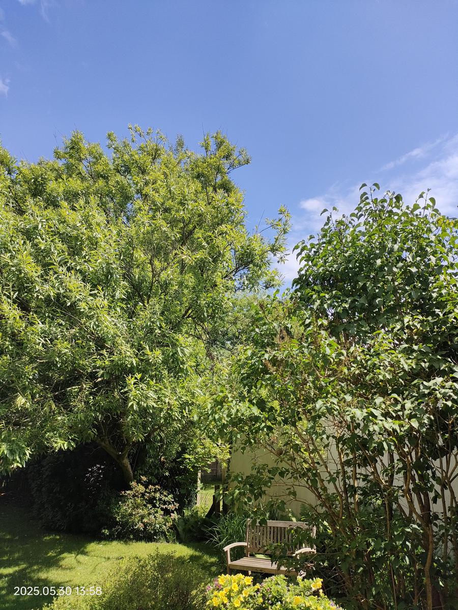 IMG20250530135834