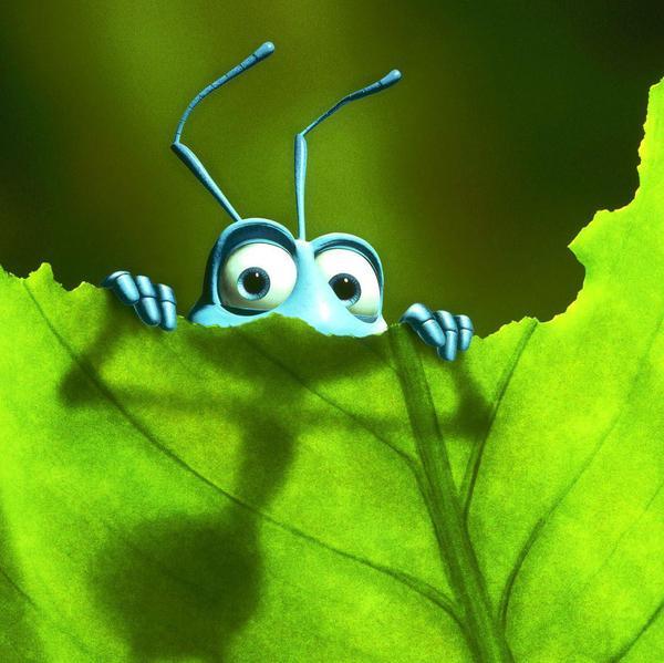a-bug-s-life-a-bugs-life-