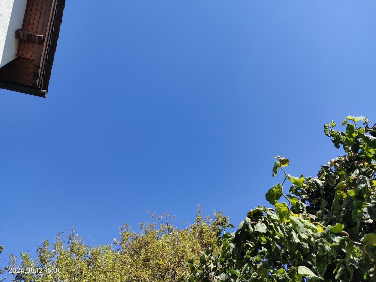 IMG20240812150029