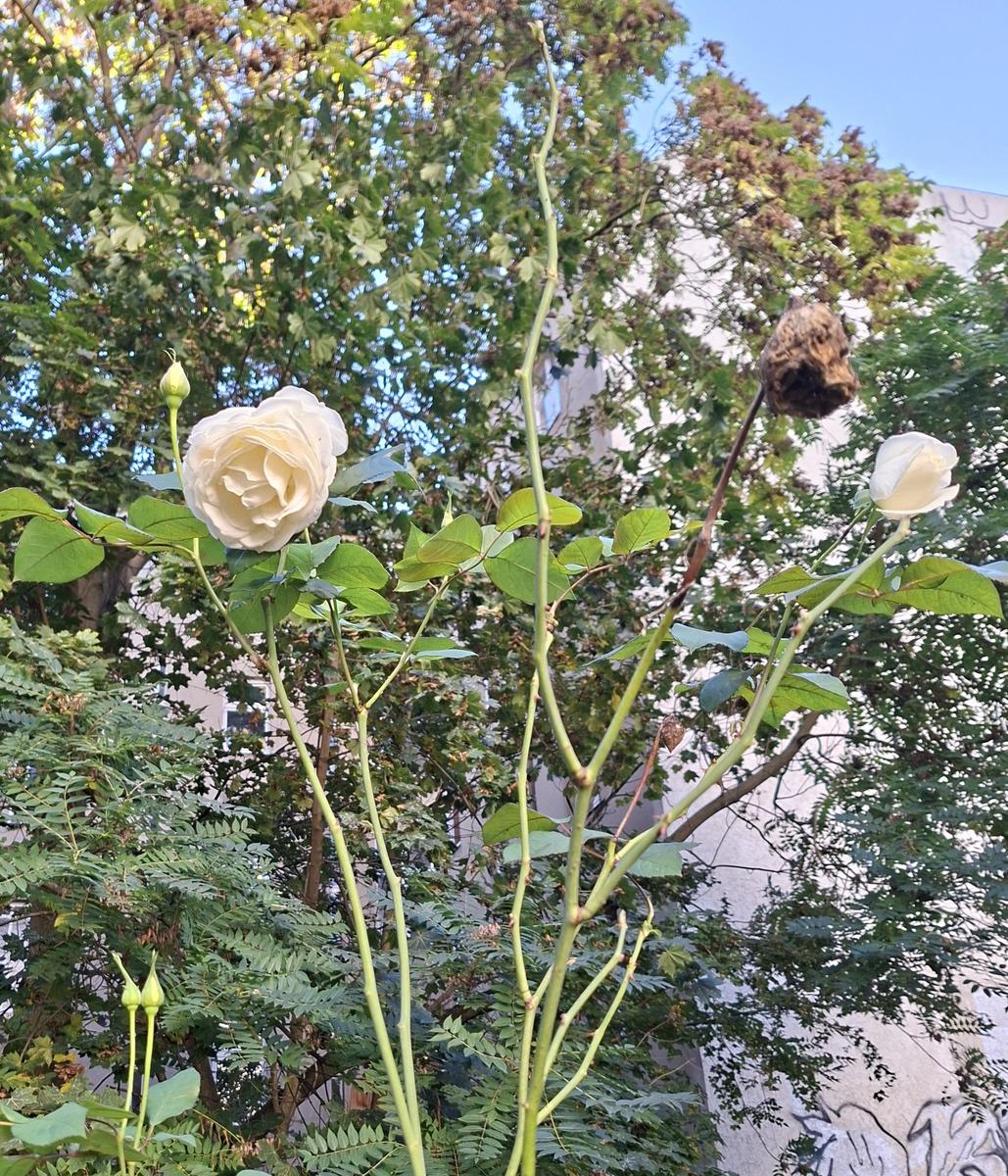 xx01