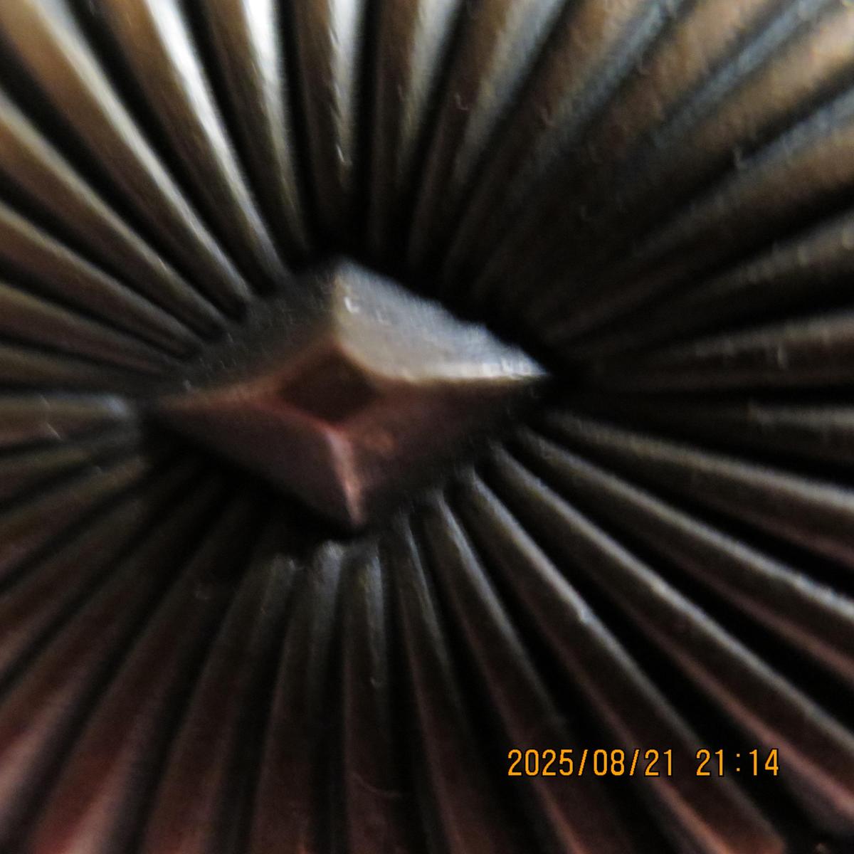 IMG 0761