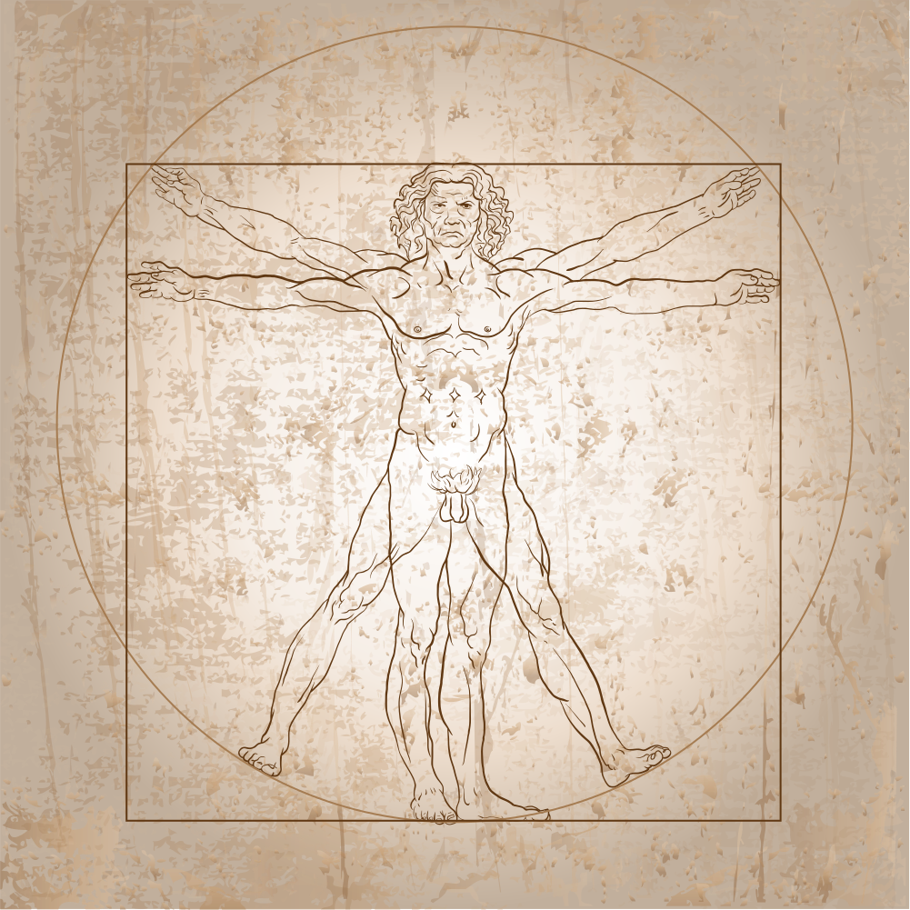 Da Vinci Vitruve Luc Viatour 2.svg