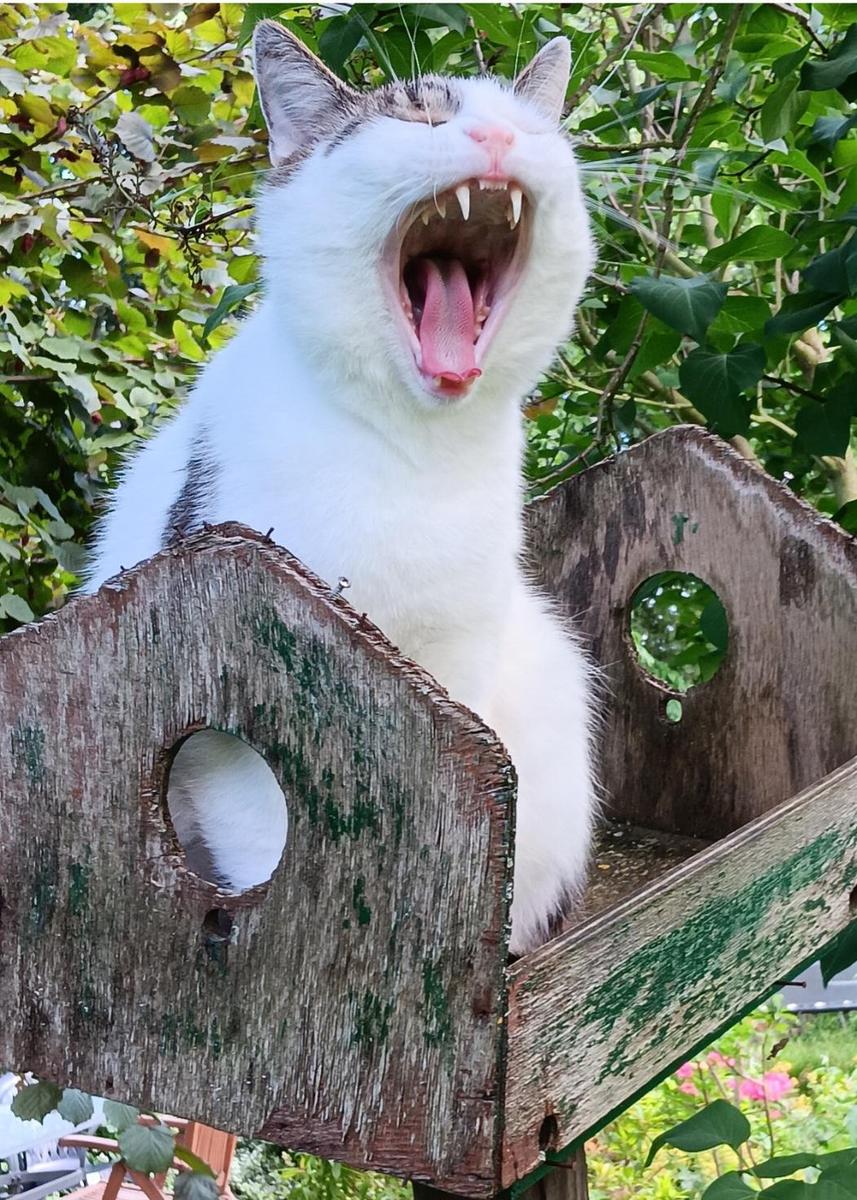 Screenshot 20251214 175636 Gallery