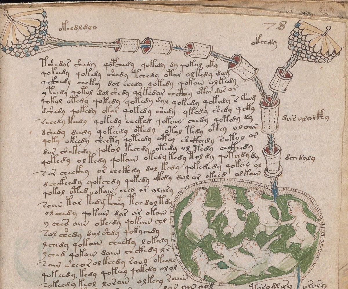 Voynich78r Auszug