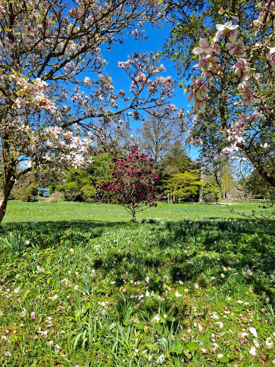 Palmengarten 080