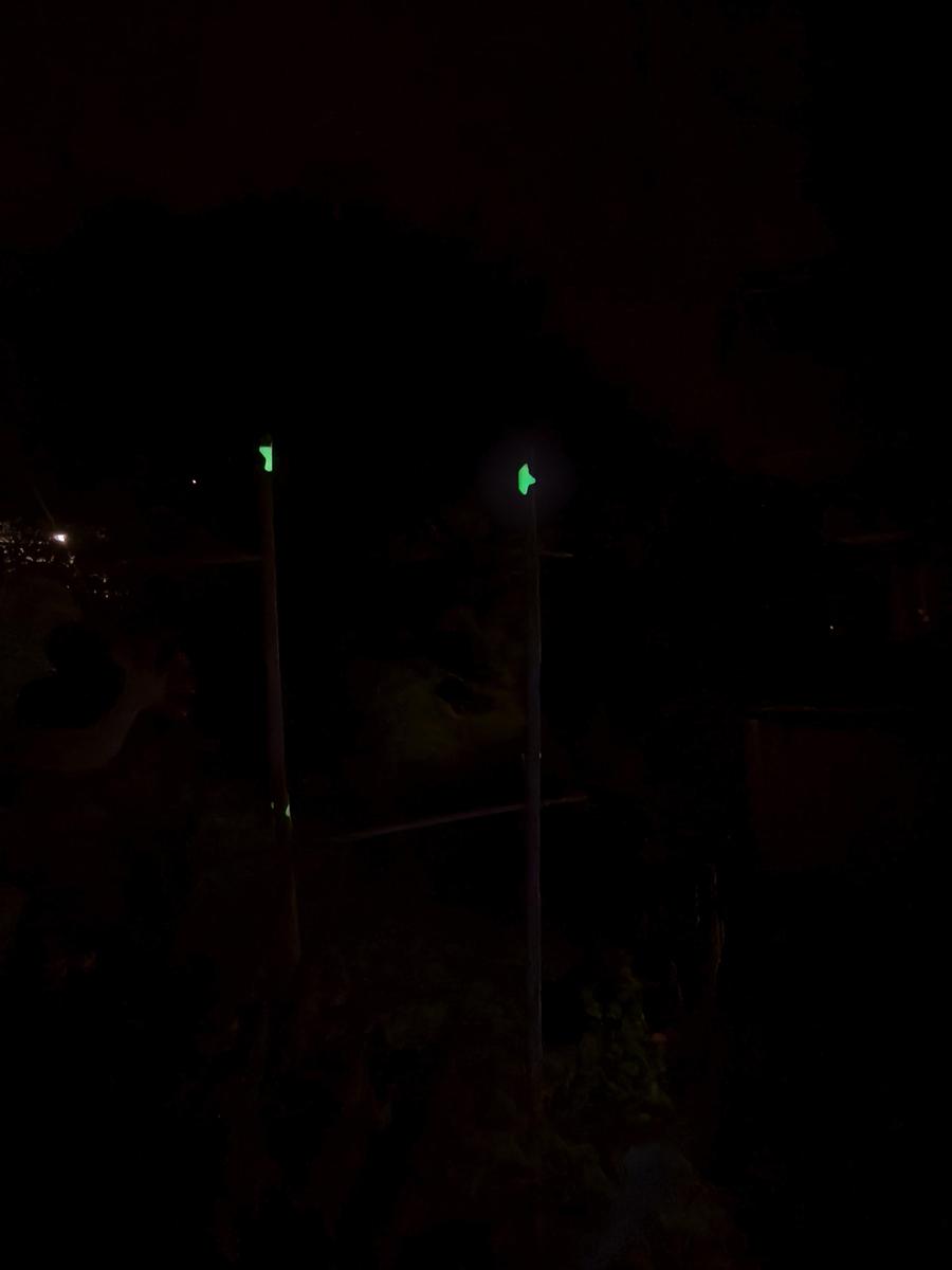 IMG 20250921 201619