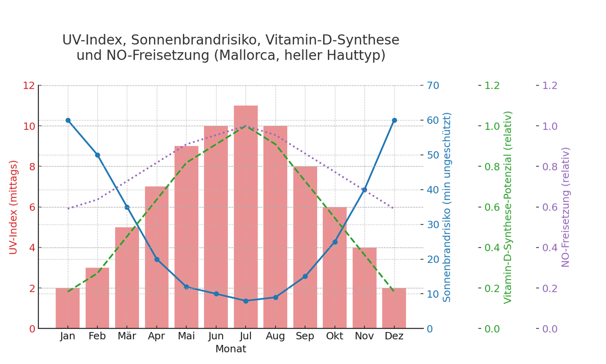UV Index Sonnenbrandrisiko VitaminD NO M