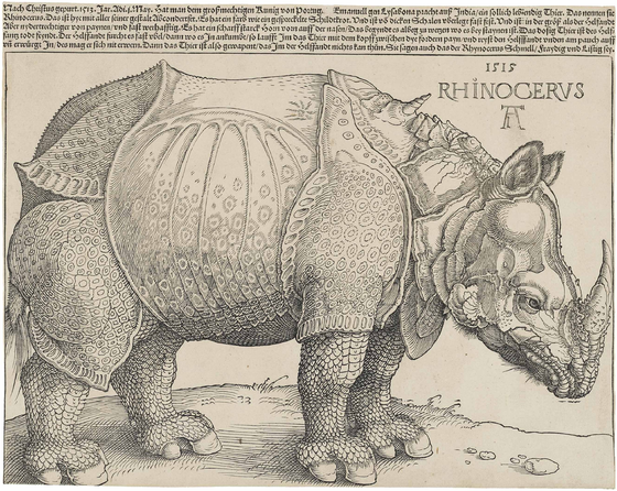 560px-Drers Rhinoceros 1515