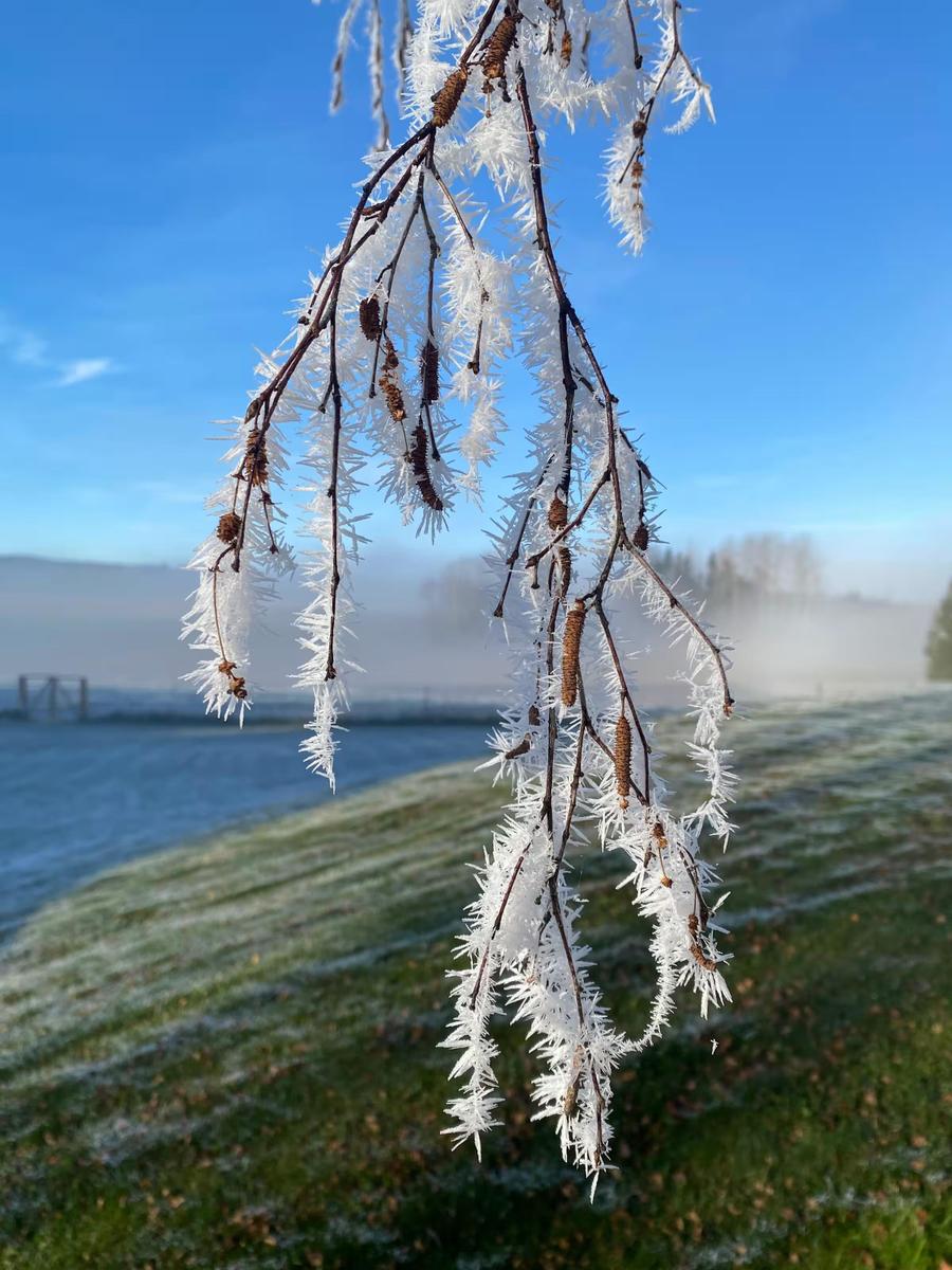 39-154063168f50c830ab7d