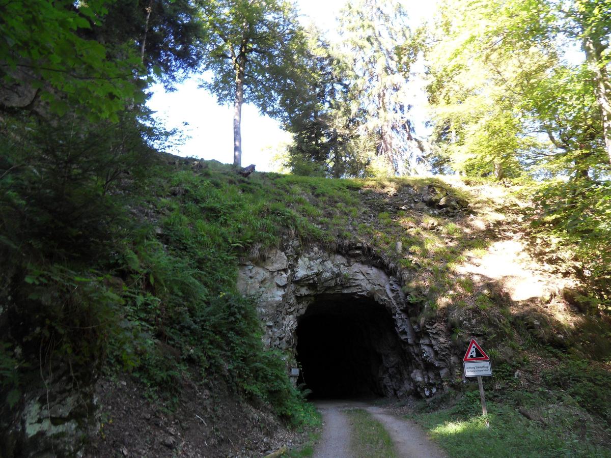 tunnel1