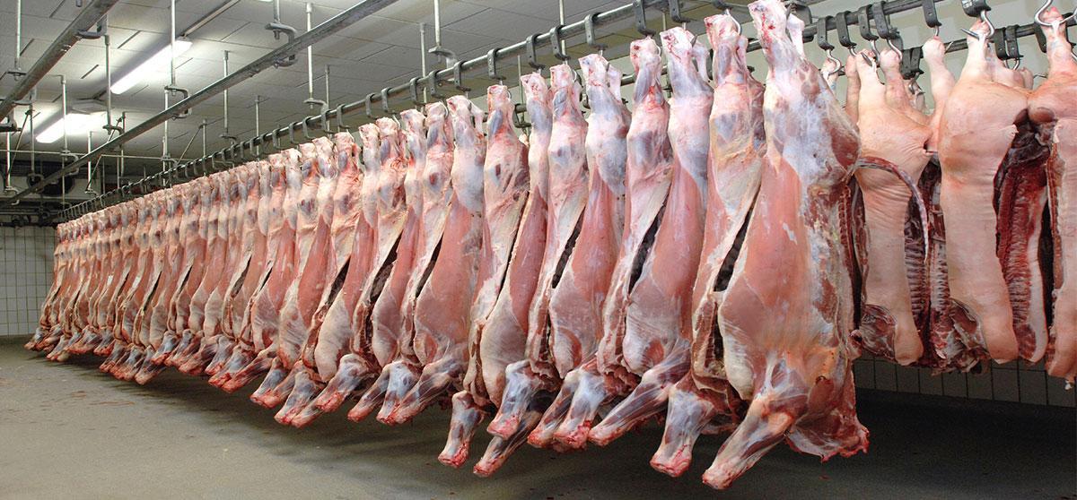 Meat-Processing-in-Ethiopia