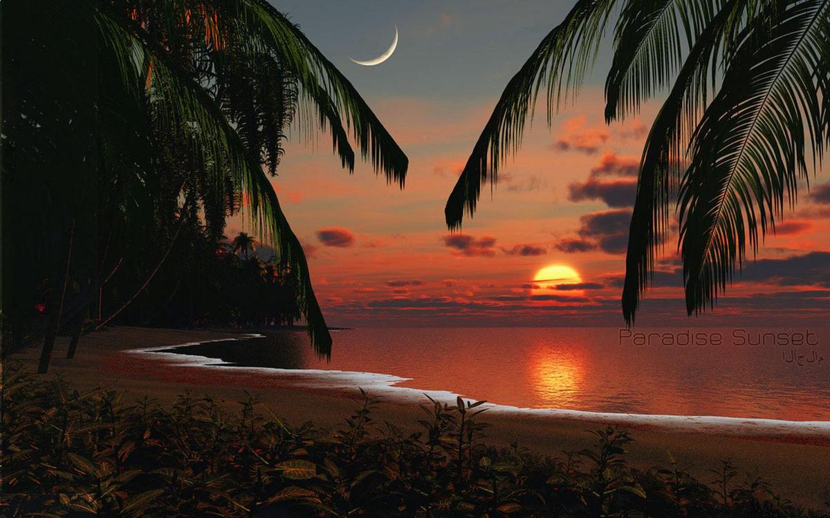 tropicalbeachparadisesunsetwallpaper1