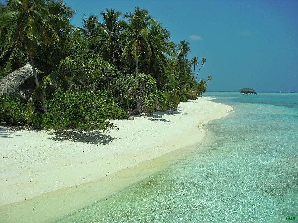 Medhufushi-Island-a27141678