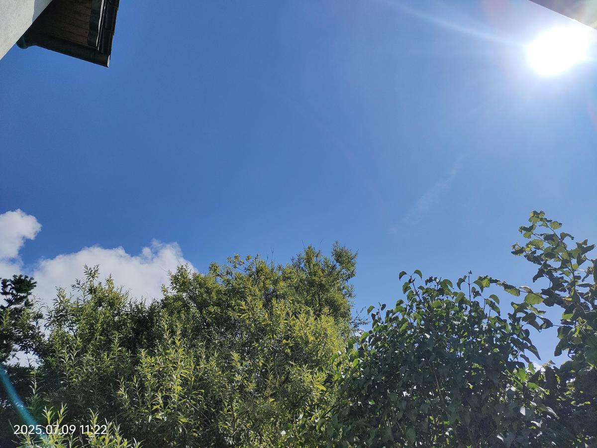 IMG20250709112257