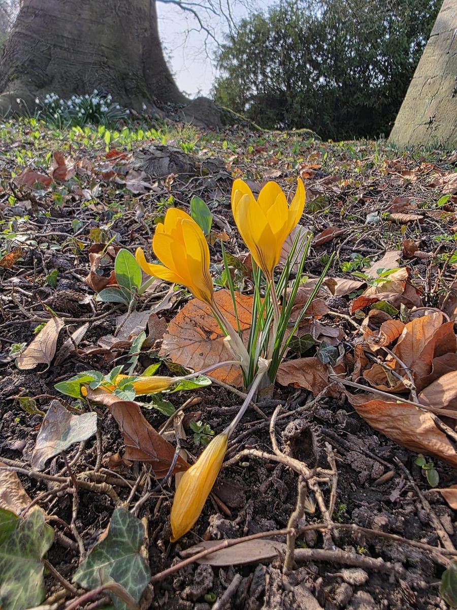 WhatsApp Image 2026-03-08 at 16.21.49 3