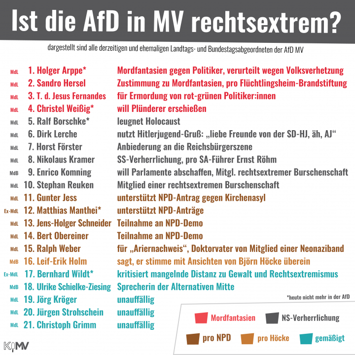 afd-mv-76-prozent-rechtsextrem-rechtradi