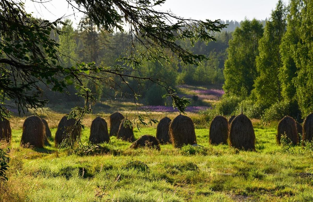 haystacks-6556306 1280