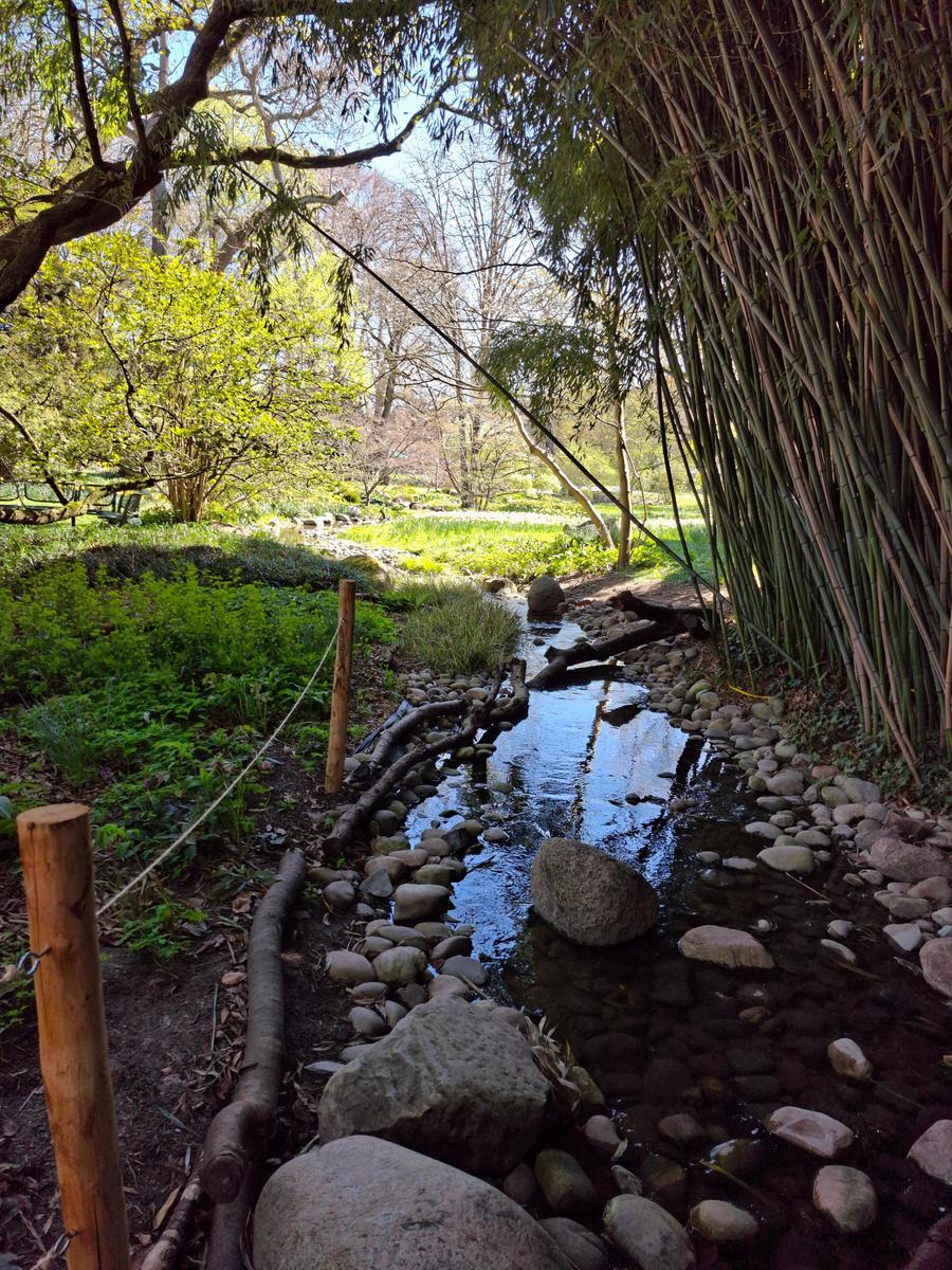 Palmengarten 042