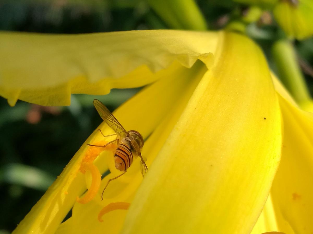 IMG 20190629 094243