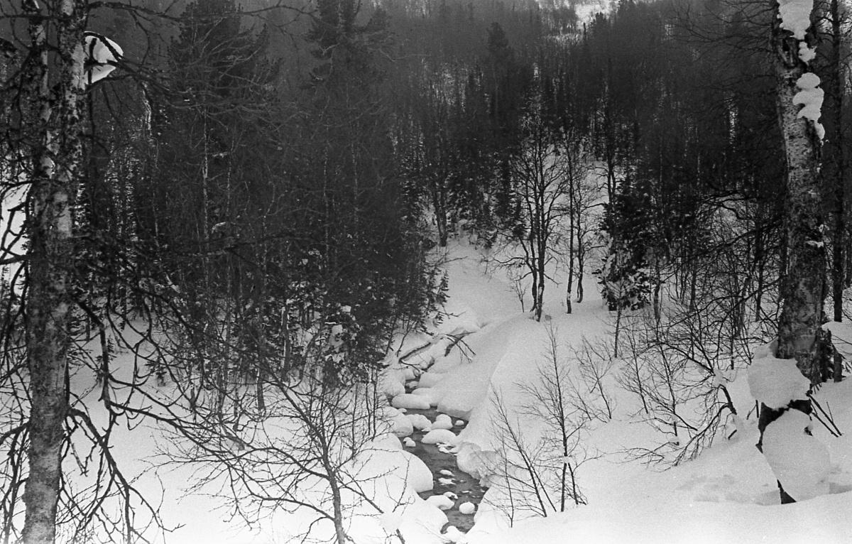 Dyatlov-pass-1959-search-308