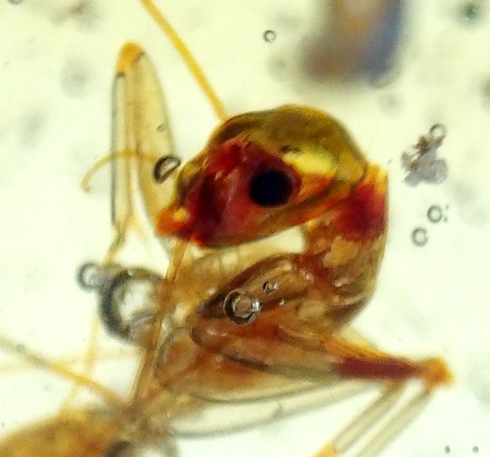 2026 0419 144513 002