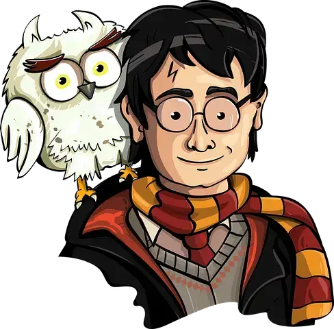 harry-potter-4077473  480.webp