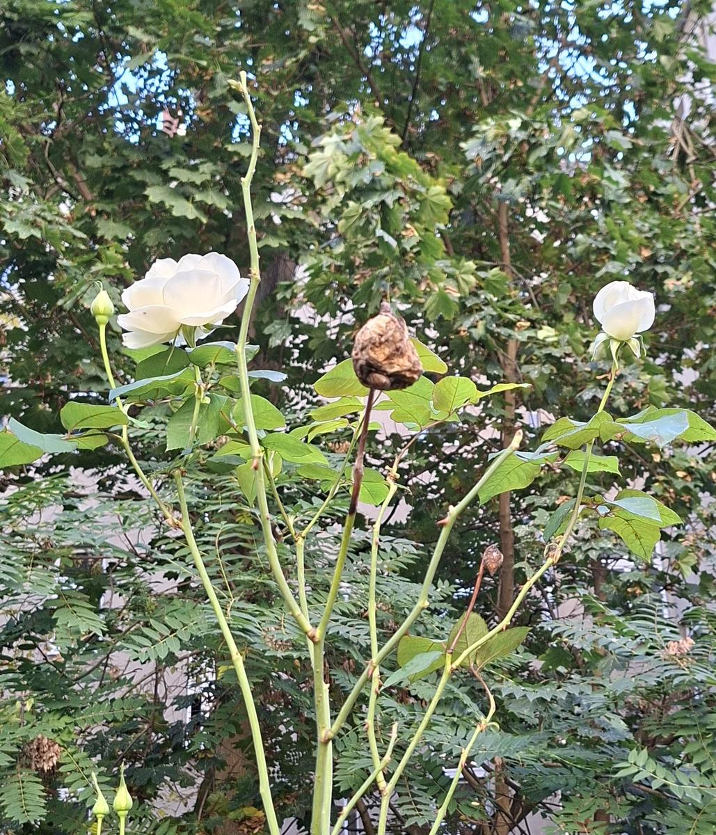 xx01