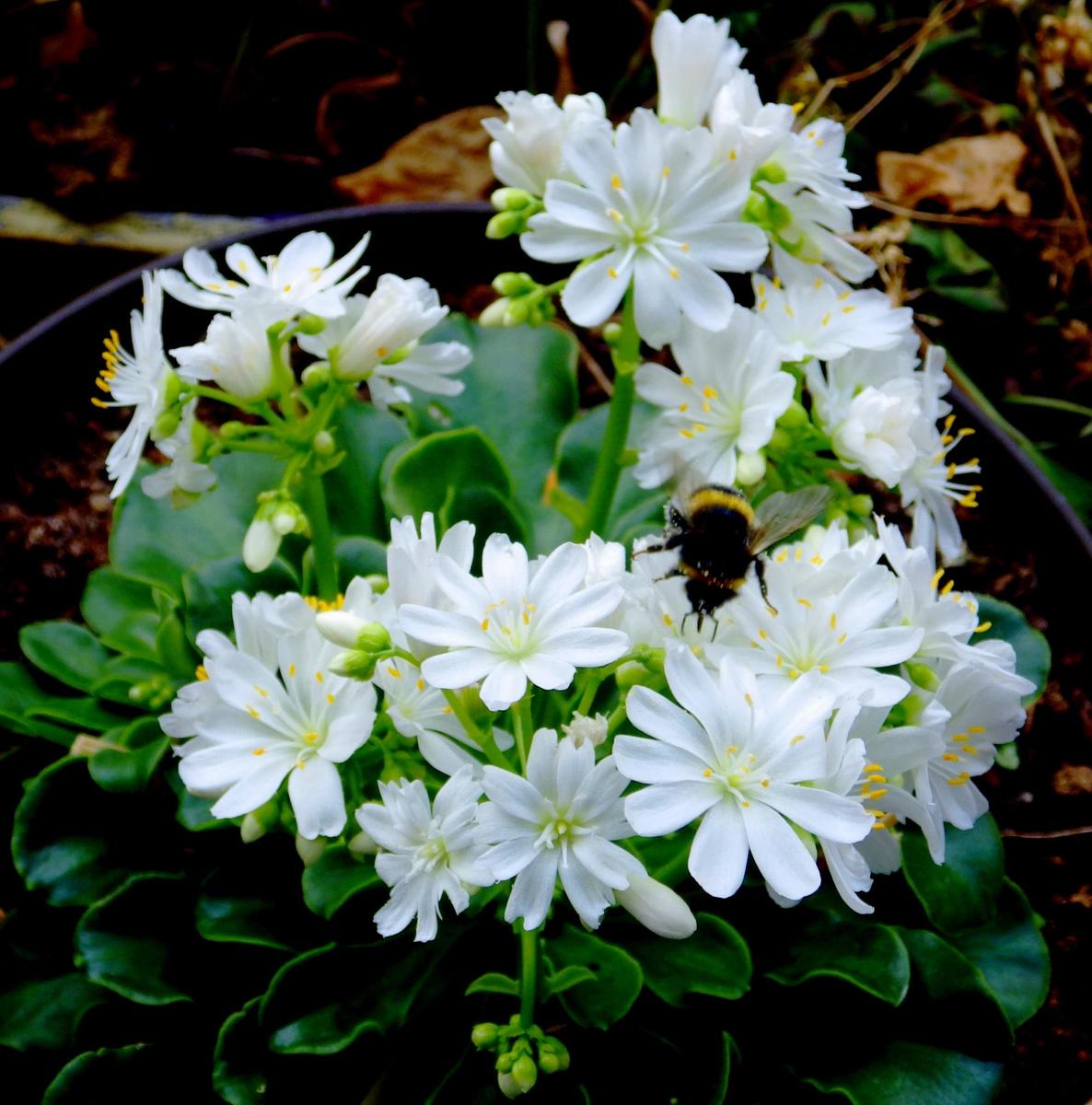 IMGP0485