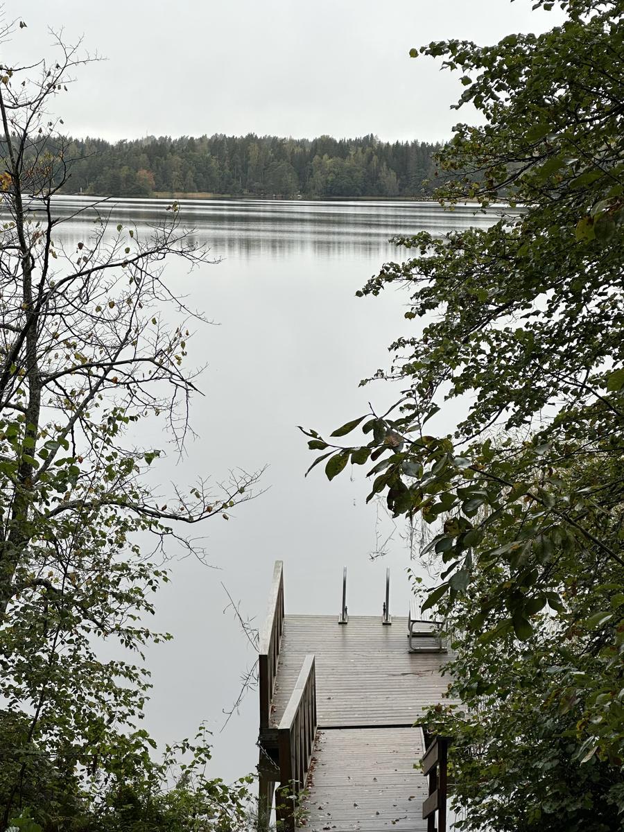 IMG 0004