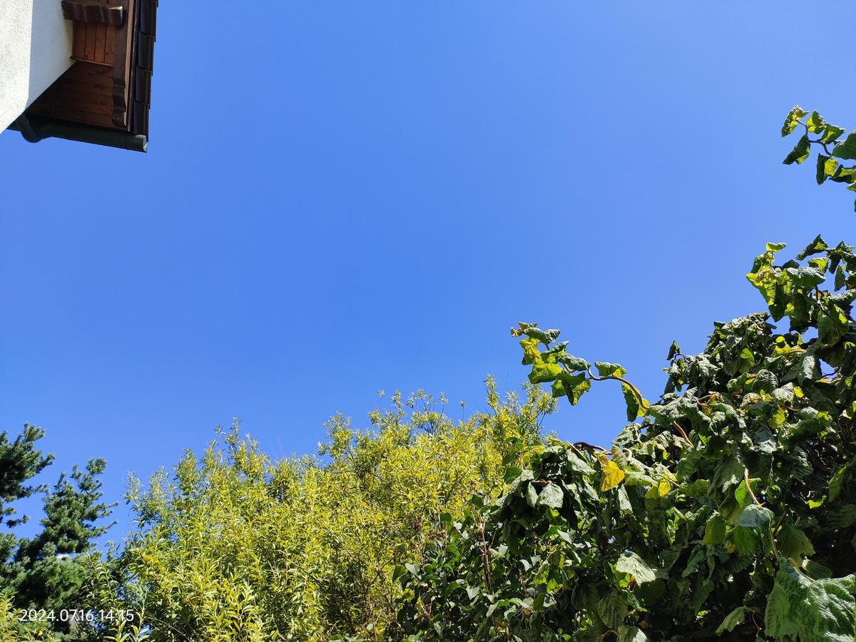 IMG20240716141554