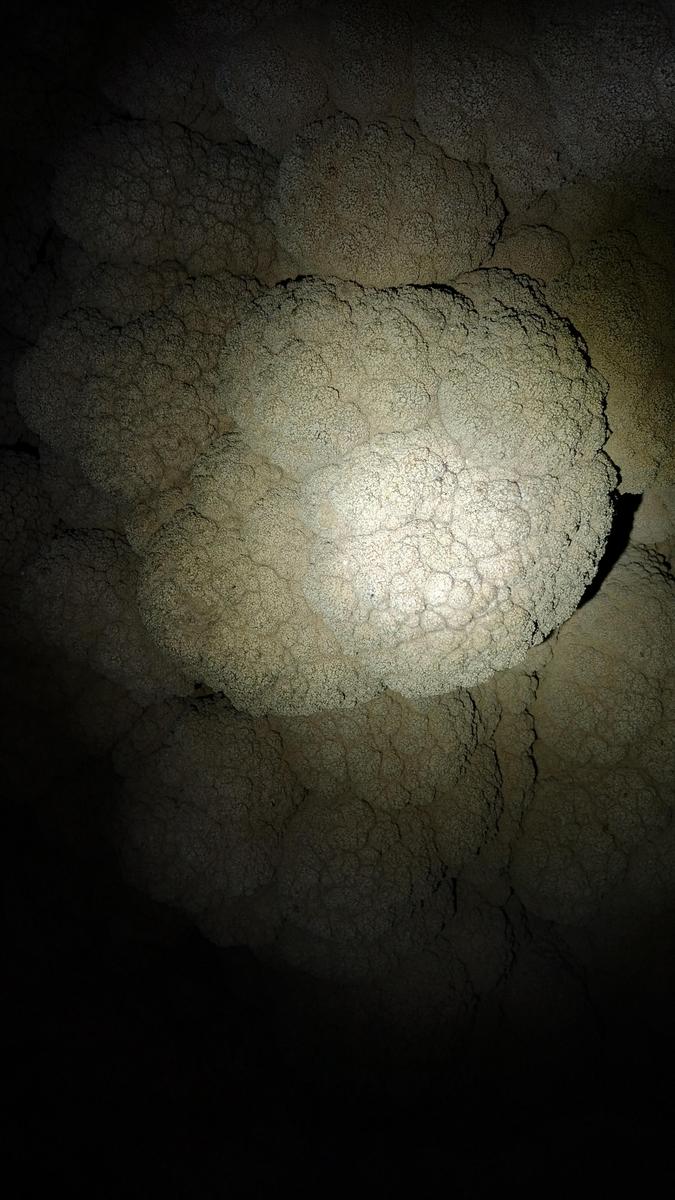 IMG 20230910 112604120 HDR