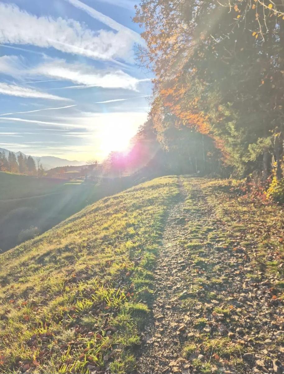 Screenshot 20251108 173219 Chrome