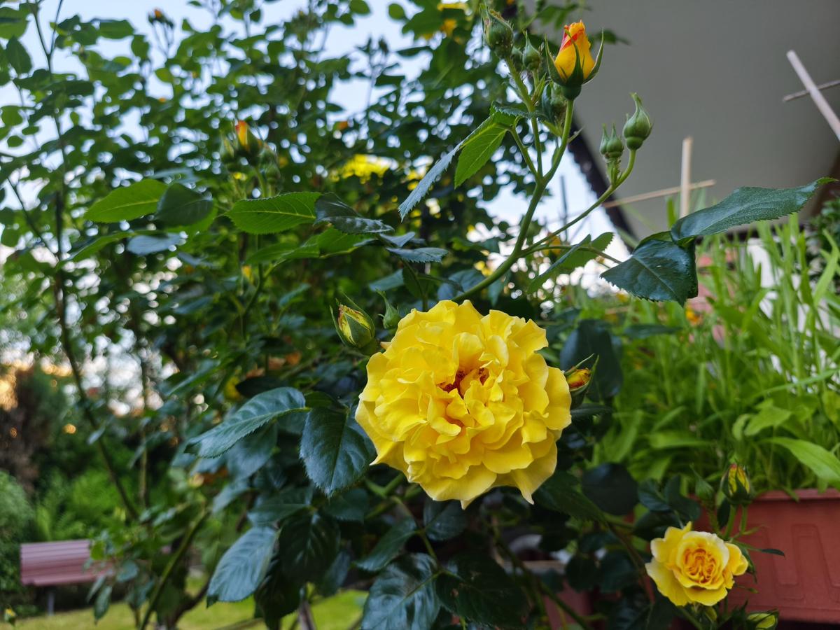 IMG 20250512 195553