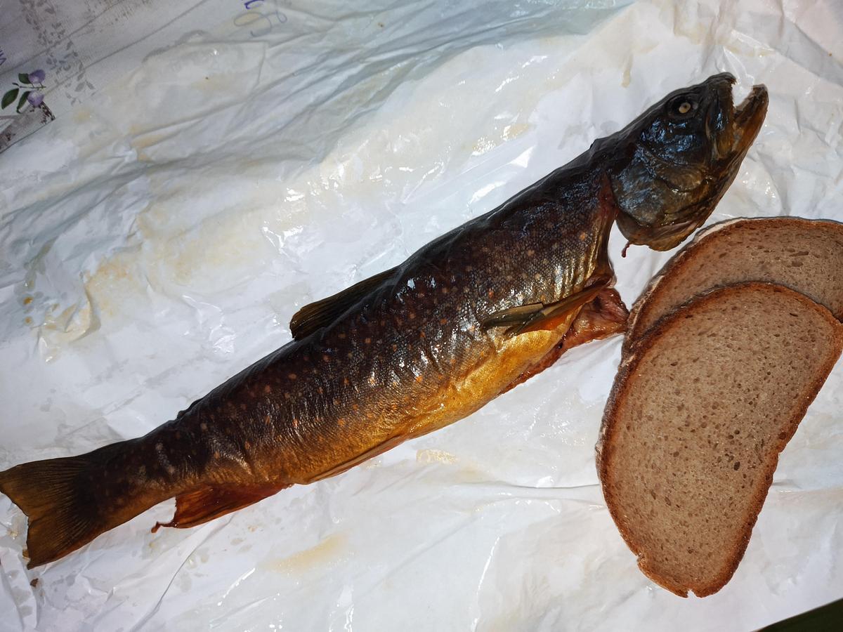 IMG 20260109 125610 055