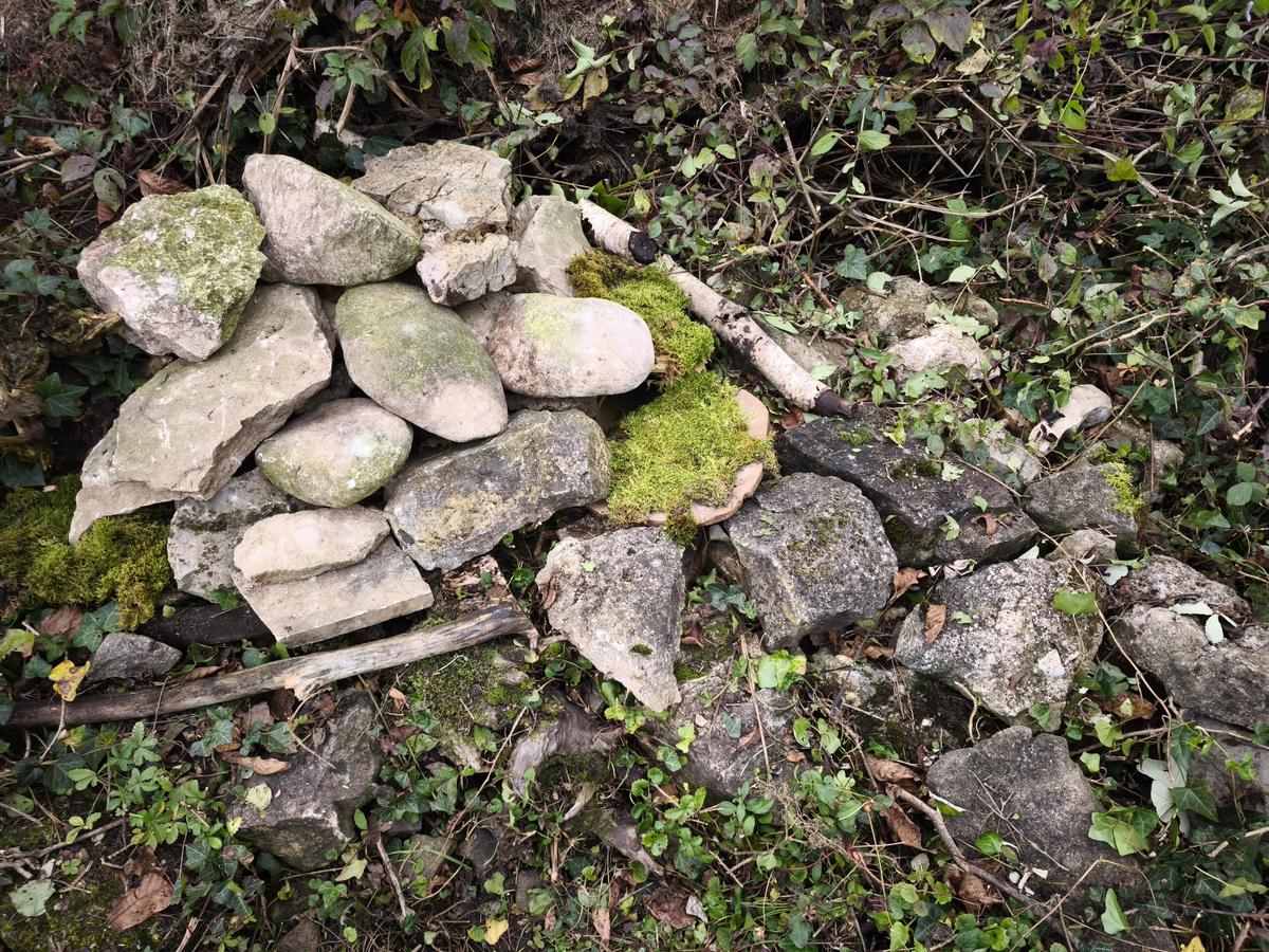 IMG 20251012 150744