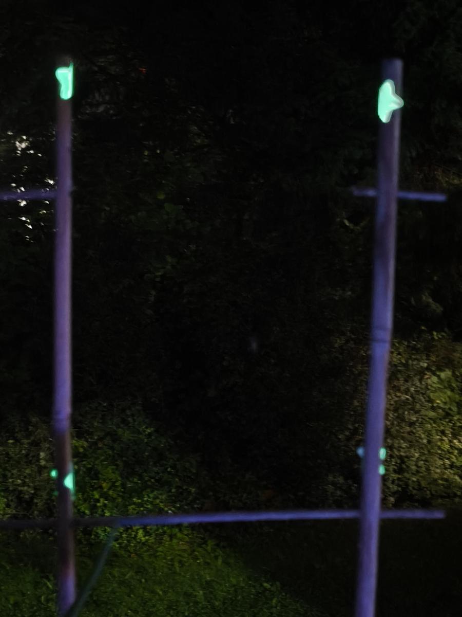 IMG 20250921 201541