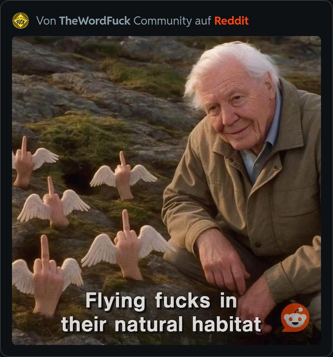 RDT 20251105 1644037889614581320931835