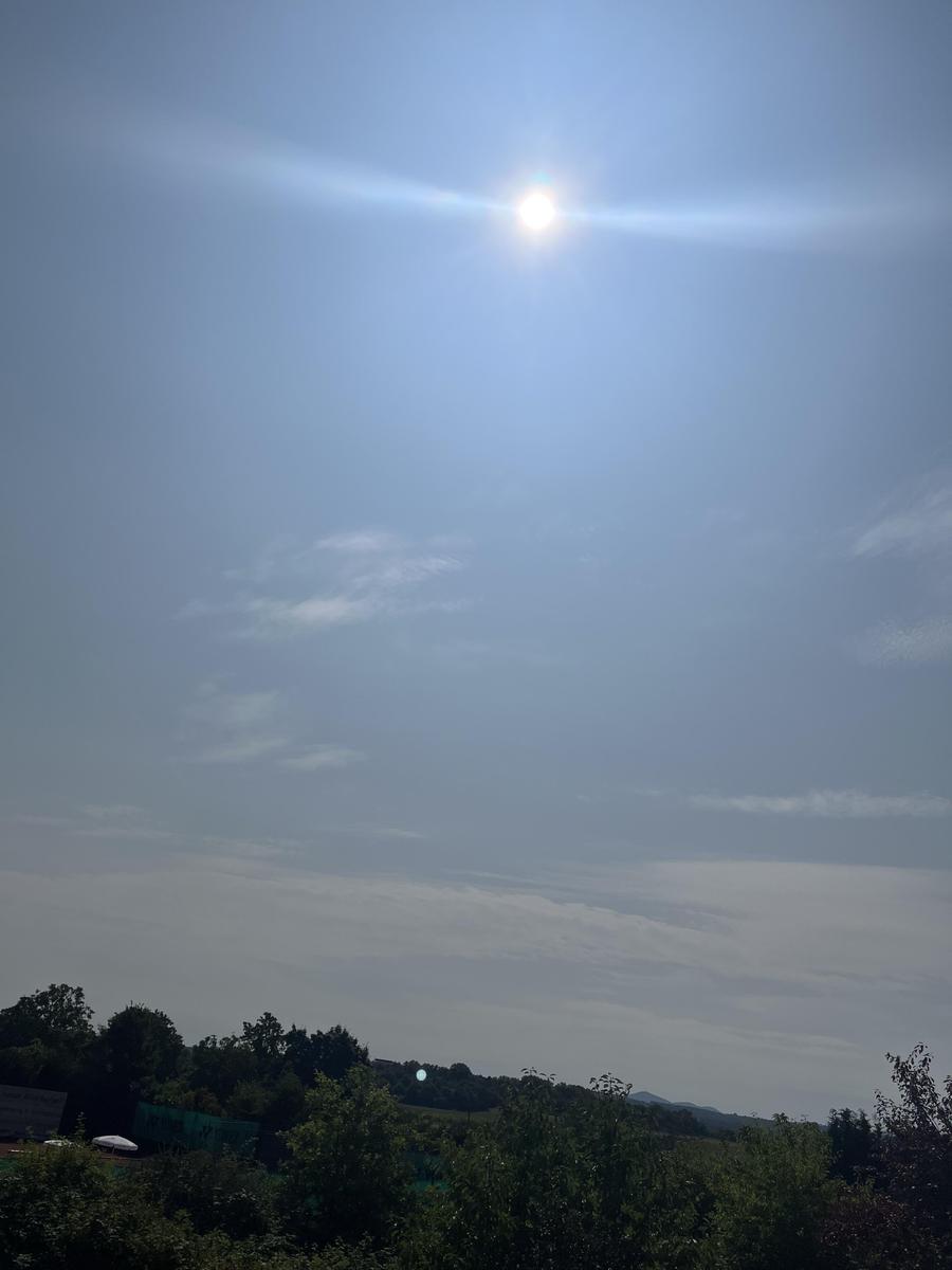 IMG 7109