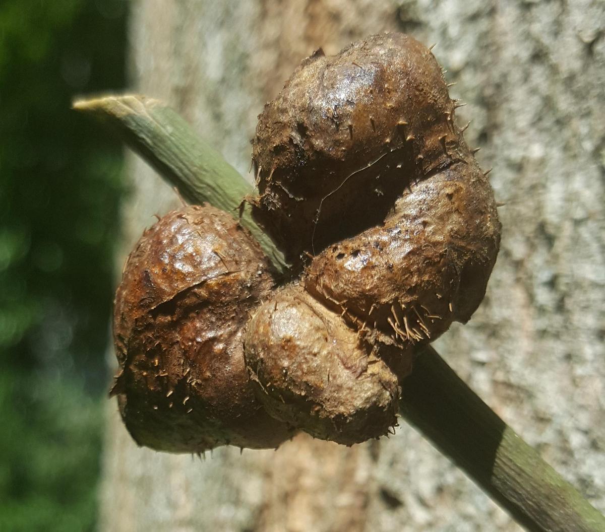 x02