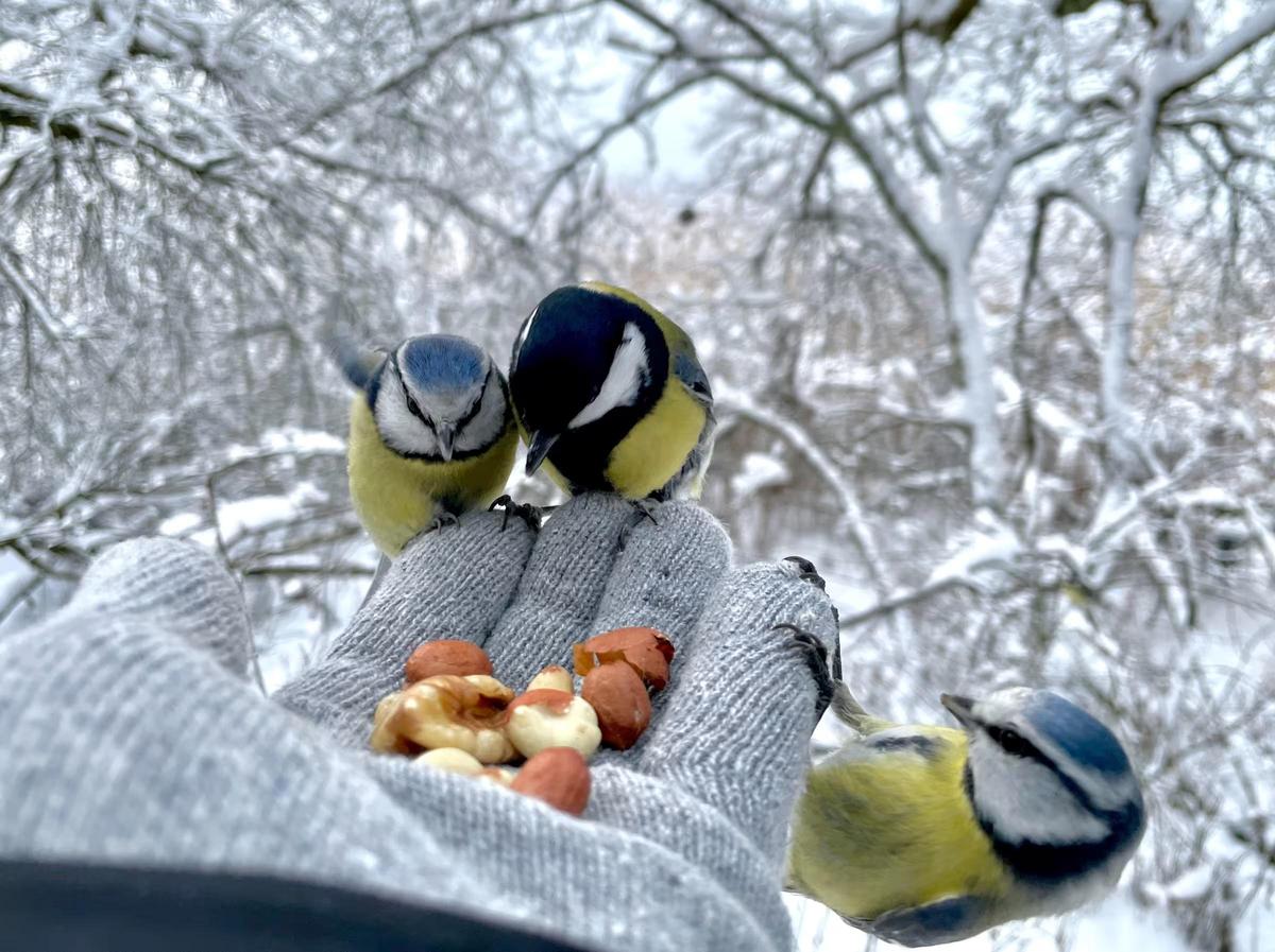 39-142739867bef68e57f37