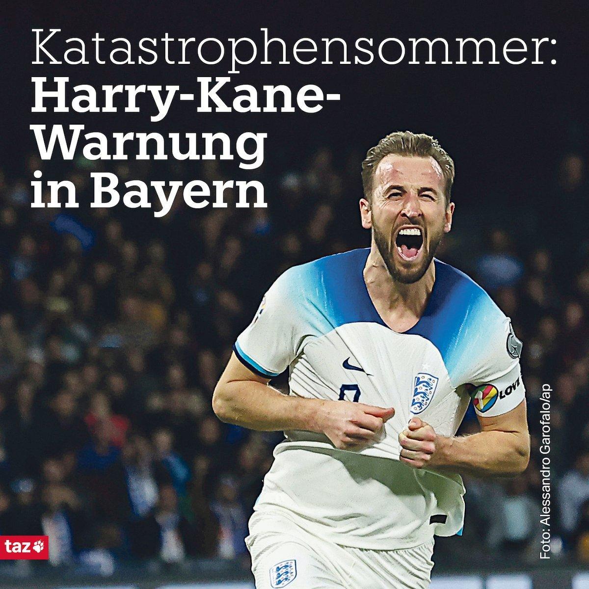 taz harry kane katastrophe - Copy